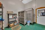 441 Stevenson Avenue - Photo 9