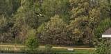 23-93 Woodhaven Lakes - Photo 3