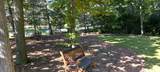 3048 Brampton Lane - Photo 44