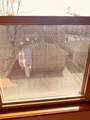2823 71st Street - Photo 16