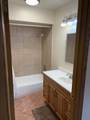 1209 Appaloosa Trail - Photo 45