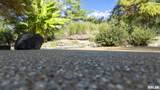 1810 Berryville Road - Photo 19