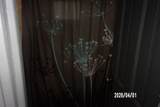309 Colfax Street - Photo 25