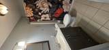 11213 Maggie Drive - Photo 5