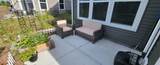 509 Watercress Drive - Photo 29