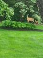 166 Mohawk Trail - Photo 49