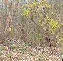 38221 New York Avenue - Photo 1