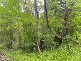 Lot 0 Pine Street - Photo 6
