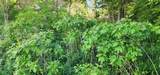574 Caleb Road - Photo 4