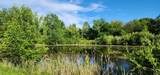 574 Caleb Road - Photo 6