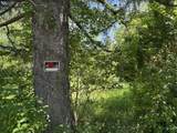 11679 Il Route 2 - Photo 3