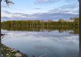 10314 Silver Creek Road - Photo 6