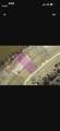 000 Riverside Drive - Photo 4