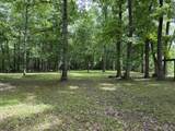 00 Shoemaker Drive - Photo 13