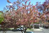 3006 Lyman Street - Photo 25