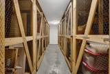 235 Eugenie Street - Photo 11