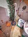 623 Pear Lane - Photo 42