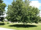 905 Euclid Street - Photo 5