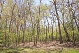 910 Echo (Lot 6) Trail - Photo 1