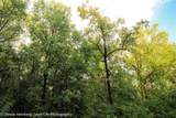 806 Echo (Lot 22) Trail - Photo 4