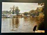 42483 Forest Lane - Photo 4