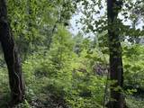 3258 Grassy Road - Photo 5