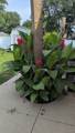 1841 36TH Street - Photo 22