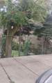 2015 Throop Street - Photo 1