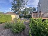 12203 Mcdaniel Street - Photo 18