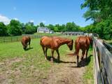 708 Rose Farm Road - Photo 101