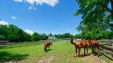 708 Rose Farm Road - Photo 80
