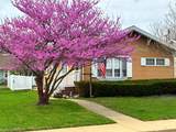 212 Sherman Street - Photo 38
