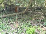 Lot 90 Lake Thunderbird Drive - Photo 2