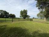 2871 Us Highway 45 52 - Photo 39