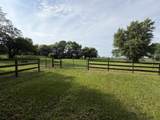 2871 Us Highway 45 52 - Photo 40