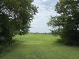 28542 Walleye Lane - Photo 7