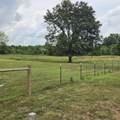 7871 St Hwy 37 Highway - Photo 31