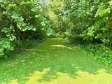 3011 15270E Road - Photo 3