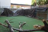 2227 Belmont Avenue - Photo 9