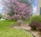 8S765 Singletree Lane - Photo 32