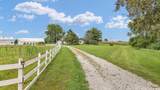 425 County Road 1575 - Photo 66
