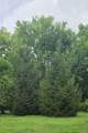 835 Front Street - Photo 22
