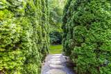 64 Crescent Drive - Photo 72