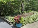 804 Timber Trail Drive - Photo 41
