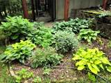 804 Timber Trail Drive - Photo 48