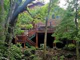 804 Timber Trail Drive - Photo 49