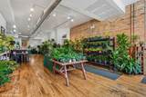 2321 North Avenue - Photo 4