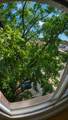 336 Lathrop Avenue - Photo 5