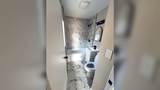 8335 Constance Avenue - Photo 1