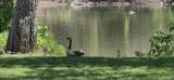 2857 River Road - Photo 3